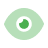 Vision Icon
